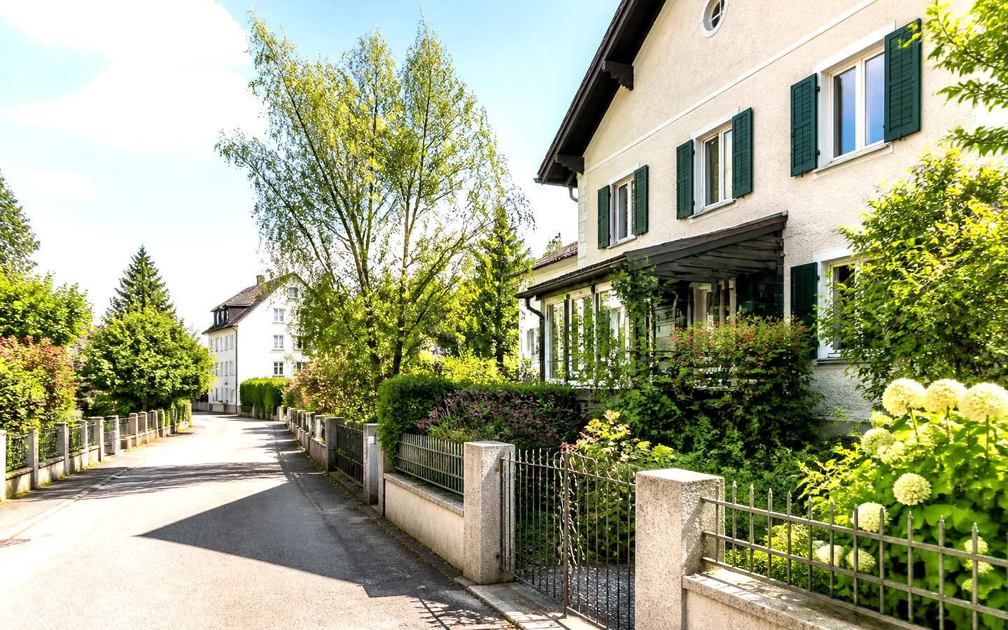 Ältere Häuser an einer begrünten Straße